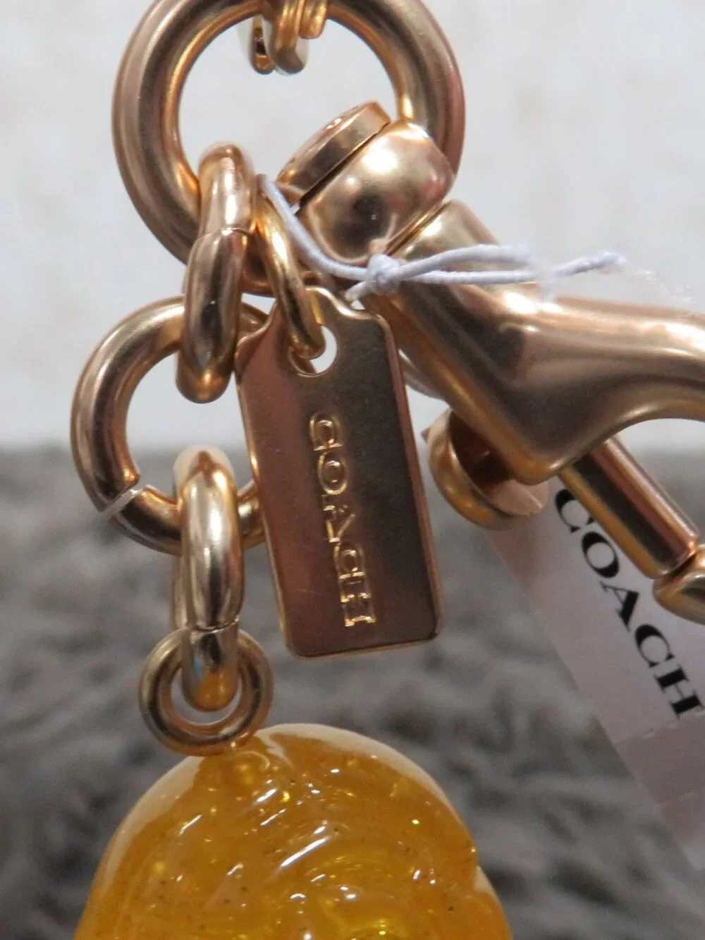 Coach Observed By Us Snail Bag Charm (Multicolor)